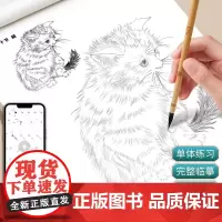 中国画白描入门描摹本国画工笔花卉人物美术套装画本工具描红书初学者画画临摹画册毛笔绘画练习教材