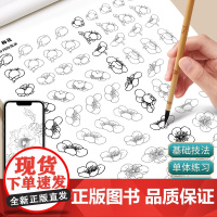 中国画白描入门描摹本国画工笔花卉美术套装画本工具描红书初学者画画临摹画册毛笔绘画练习教材