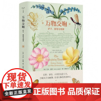 万物交响:驴子、随笔与喧嚣 世间万物作者新作 守望者 物灵 ND