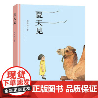 夏天见 儿童文学 儿童小说 中篇小说 保冬妮 编著 南京大学出版社 ND