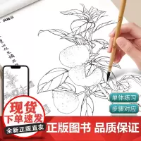 中国画白描入门描摹本国画工笔果蔬美术套装画本工具描红书初学者画画临摹画册毛笔绘画练习教材