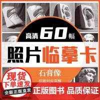 临摹卡石膏像照片 美术绘画写生参考素材图片美术培训教学60幅唯美文艺小清新精美卡片创意礼物原创作品学习卡片 一线美誉