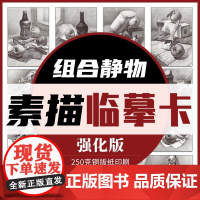 正版 素描组合静物临摹卡强化版 32开单张1:1等大临摹 一线美誉 素描艺术绘画临摹卡素描组合静物强化训练临摹艺术卡片