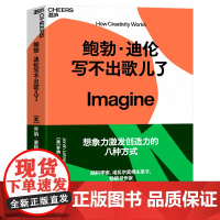 鲍勃·迪伦写不出歌儿了 乔纳·莱勒 创造力三部曲之一 科普读物 科学知识 自我实现 自我励志 湛庐文化