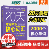 新东方店20天背完六级核心词汇备考2025年6月大学英语四六级历年真题试卷大纲 短期备考临摹字帖笔记背词复习书籍 新东方