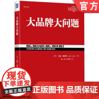 正版 品牌大问题 杰克 特劳特 商战经典 产品销售 品类法则 垄断 市场竞争 战略 股票期权 失败案例 认知能力 行