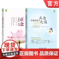 套装 正版 正念大师 共2册 正念 此刻是一枝花 穿越抑郁的正念之道