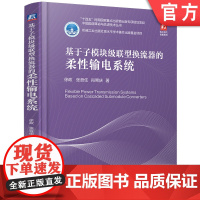 基于子模块级联型换流器的柔性输电系统 换流器 谐波 消除 控制 保护 主电路设计 绝缘配合 建模 仿真 电力系