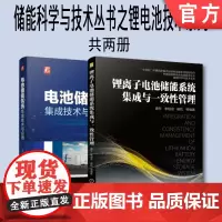 套装 正版 电池储能系统集成技术 共2册 锂离子电池储能系统集成与一致性管理 电池储能系统集成技术与应用