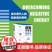 战胜负能量·陪你的悲伤坐一坐适合现代人的能量重启策略