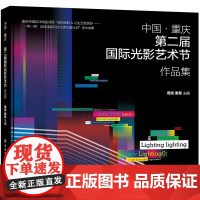 中国·重庆第二届国际光影艺术节作品集 重庆市国际化特色项目“流光绘影让生活更美好——‘一带一路’沿线国家科技之美互鉴计划