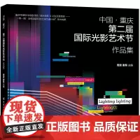 中国·重庆第二届国际光影艺术节作品集 重庆市国际化特色项目“流光绘影让生活更美好——‘一带一路’沿线国家科技之美互鉴计划