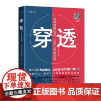 穿透:洞察性格优势,让用人效能倍增 职场人士的的能力素质模型 自我实现参考