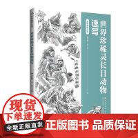 世界珍稀灵长目动物速写 一部稀灵长目动物的科普读物,采用速写绘画方式生动呈现!