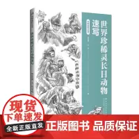 世界珍稀灵长目动物速写 一部稀灵长目动物的科普读物,采用速写绘画方式生动呈现!