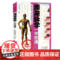 濒湖脉学一学就通 一目了然学中医系列丛书 林政宏编著 中医把脉入门书籍 白话详解 脉诊速记图卡图解
