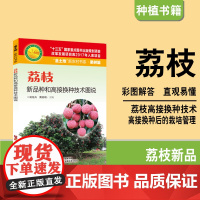 荔枝新品种和高接换种技术图说 30个新品种高清彩色图解 零基础看懂 荔枝高效种植栽培实用技术手册 农业林业农作物