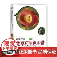 中国民间生草药原色图谱(下册)902种生草药 中草药材大全 中药 配方 野生中药图解 中草药彩图大全书 图解 中医药草