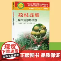 荔枝龙眼病虫害原色图说 荔枝龙眼实用种植技术 荔枝龙眼种植书籍 适合广大果农 农业科技人员和农业院校有关师生