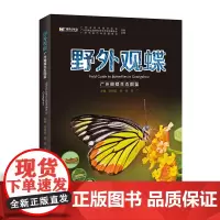 全新 野外观蝶 广州蝴蝶生态图鉴 陈锡昌 杨骏 刘广主编 蝴蝶鉴赏书籍蝴蝶品种种类分类蝴蝶名称大全蝴蝶标本亲子观察