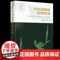 中国胡椒属植物图鉴 对54种国产胡椒属植物进行了准确翔实的介绍 精美细致的彩色照片 一部首次公开出版的胡椒属植物的著作