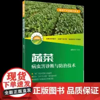 蔬菜病虫害诊断与防治技术 十字花科瓜类茄果类豆类四大部分40余种常见蔬菜病虫害的诊断与防治技术 高质量原色生态图谱