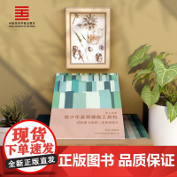 中国美术学院出版社 青少年美育课程工具包 本草纲目 纤维纸浆造型主题套装DIY创意手工玩具