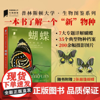 蝴蝶 中国国家地理普林斯顿大学生物图鉴系列图书昆虫蝴蝶自然百科科普读物