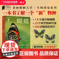 蝴蝶 中国国家地理普林斯顿大学生物图鉴系列图书昆虫蝴蝶自然百科科普读物