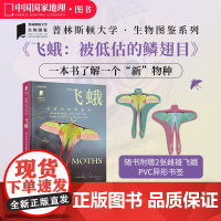 飞蛾被低估的鳞翅目 中国国家地理普林斯顿大学生物图鉴系列图书昆虫飞蛾自然百科科普读物