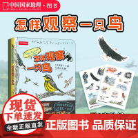怎样观察一只鸟 克莱尔·沃克·莱斯利新作鸟类观察科普读物