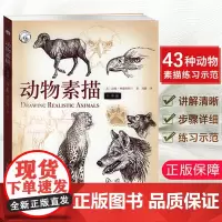 动物素描版 动物素描速写手绘绘画步骤示范技法教学动物素描素材临摹 描初学基础入门怎么样画动物素描教程教材西方经典技法