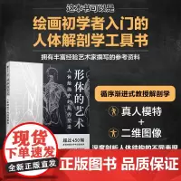 形体的艺术 人体绘画中的肌肉塑造 人体结构造型动态解剖肌肉绘制人体手绘 人体骨骼结构肌肉解剖