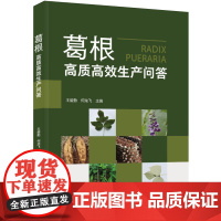 科技-葛根高质高效生产问答王爱勤何龙飞葛根野葛葛根种植葛根生产葛生产栽培生产农业农业农艺农业技术农业生产作物栽培栽培
