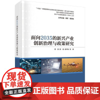 面向2035的新兴产业创新治理与政策研究