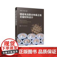 锂硫电池聚合物基正极关键材料设计(胡方圆)