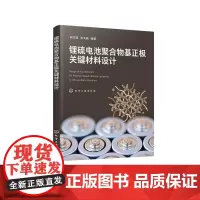 锂硫电池聚合物基正极关键材料设计(胡方圆)