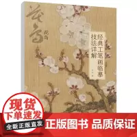 经典工笔画临摹技法详解:花鸟