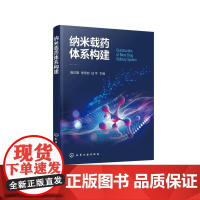 纳米载药体系构建