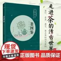 生活-茶图鉴 从识茶到品茶 康菲 陈美珍 茶叶书籍大全 一本书品鉴世界名茶 识茶泡茶品茶 茶知识大百科茶叶茶具茶艺茶点茶
