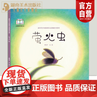 新时代中国原创儿童图画书系列:萤火虫 蒋金宇 文/绘