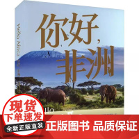 你好,非洲 湖南美术出版社 湖南美术出版社 编 美术画册 绘画(新)