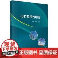 电力系统过电压