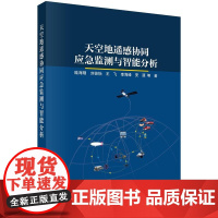 天空地遥感协同应急监测与智能分析