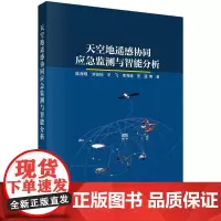 天空地遥感协同应急监测与智能分析