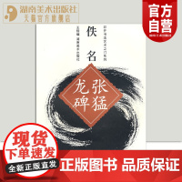 正版 叩开书法艺术之门系列 张猛龙碑 书法入门书籍教程字帖碑帖 描红系列 湖南美术出版社店