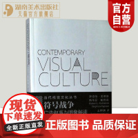 正版 当代视觉文化丛书 符号战争 广告叙事与图像解读 罗伯特·戈德曼,斯蒂芬·帕普森湖南美术出版社店