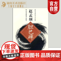 正版现货 赵孟頫胆巴碑/叩开书法艺术之门系列 顾工 编 著作 书法入门书籍 字帖原碑帖描红湖南美术出版社店