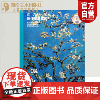 正版西方大师原作高清解读凡高荷兰后印象派画家临摹大师作品美术技巧西方绘画艺术书星夜向日葵乌鸦等艺术作品解读湖南美术