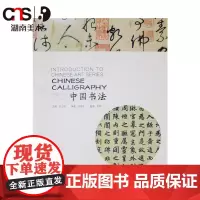 正版 中国艺术入门丛书 中国书法 书法入门书籍 湖南美术出版社店